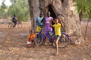 Lee más sobre el artículo Bicicletas sin Fronteras, un proyecto especial