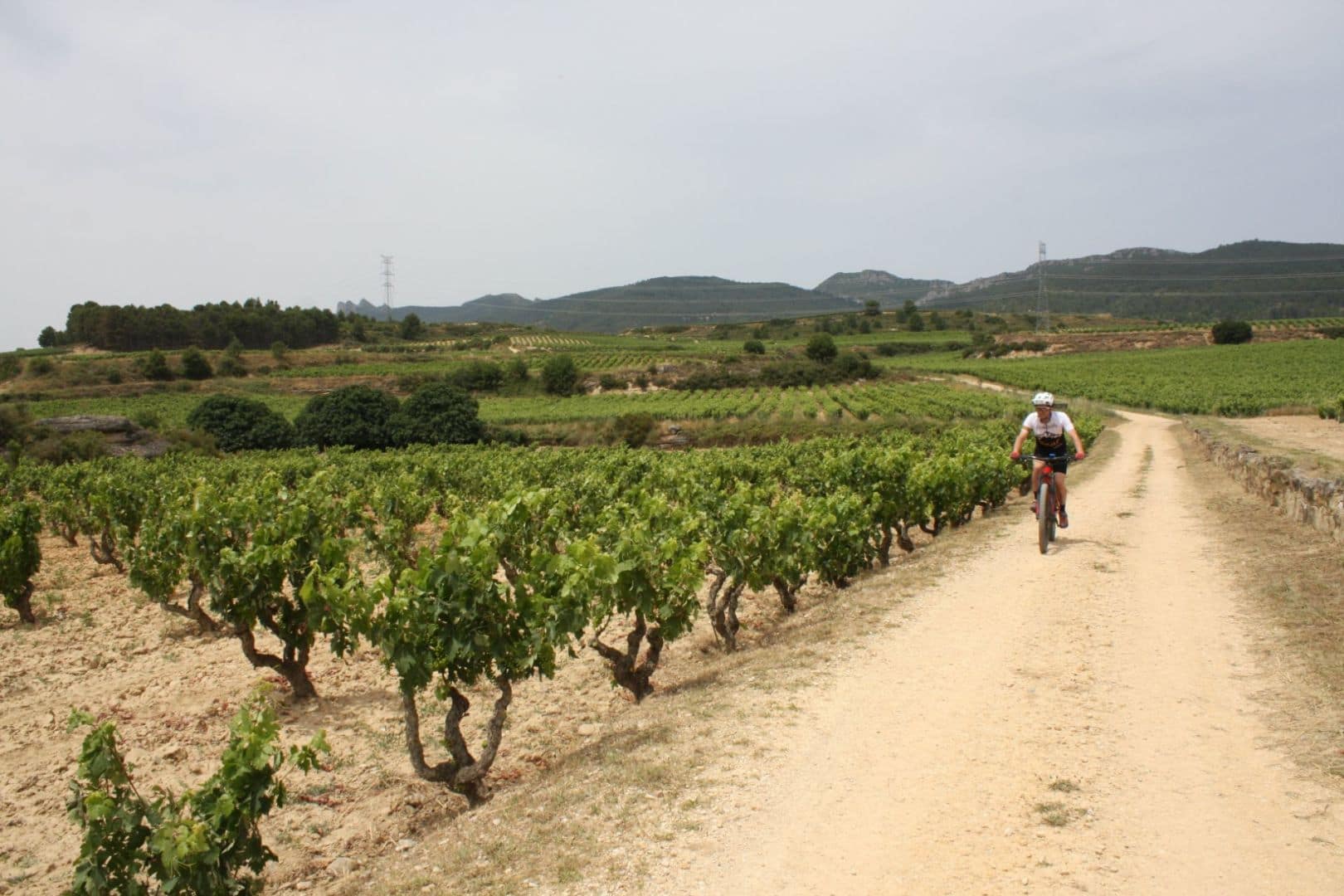 Tracks de La Rioja