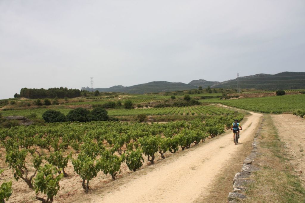 Tracks del Vino La Rioja