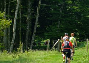 Lee más sobre el artículo Este otoño, recorre en bici los bosques de Irati junto a Bikefriendly y #RetoPedaELA