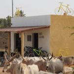 Fotos del Viaje a Senegal de 2018