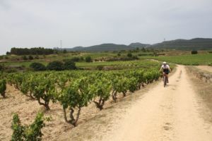 Lee más sobre el artículo Tracks del Vino, cata lo mejor de La Rioja en un viaje espectacular en bicicleta de montaña