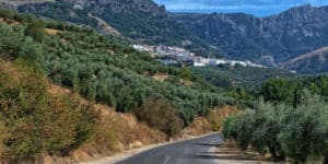 Lee más sobre el artículo ‘Alquería de los Lentos’: escapada ciclista en Granada