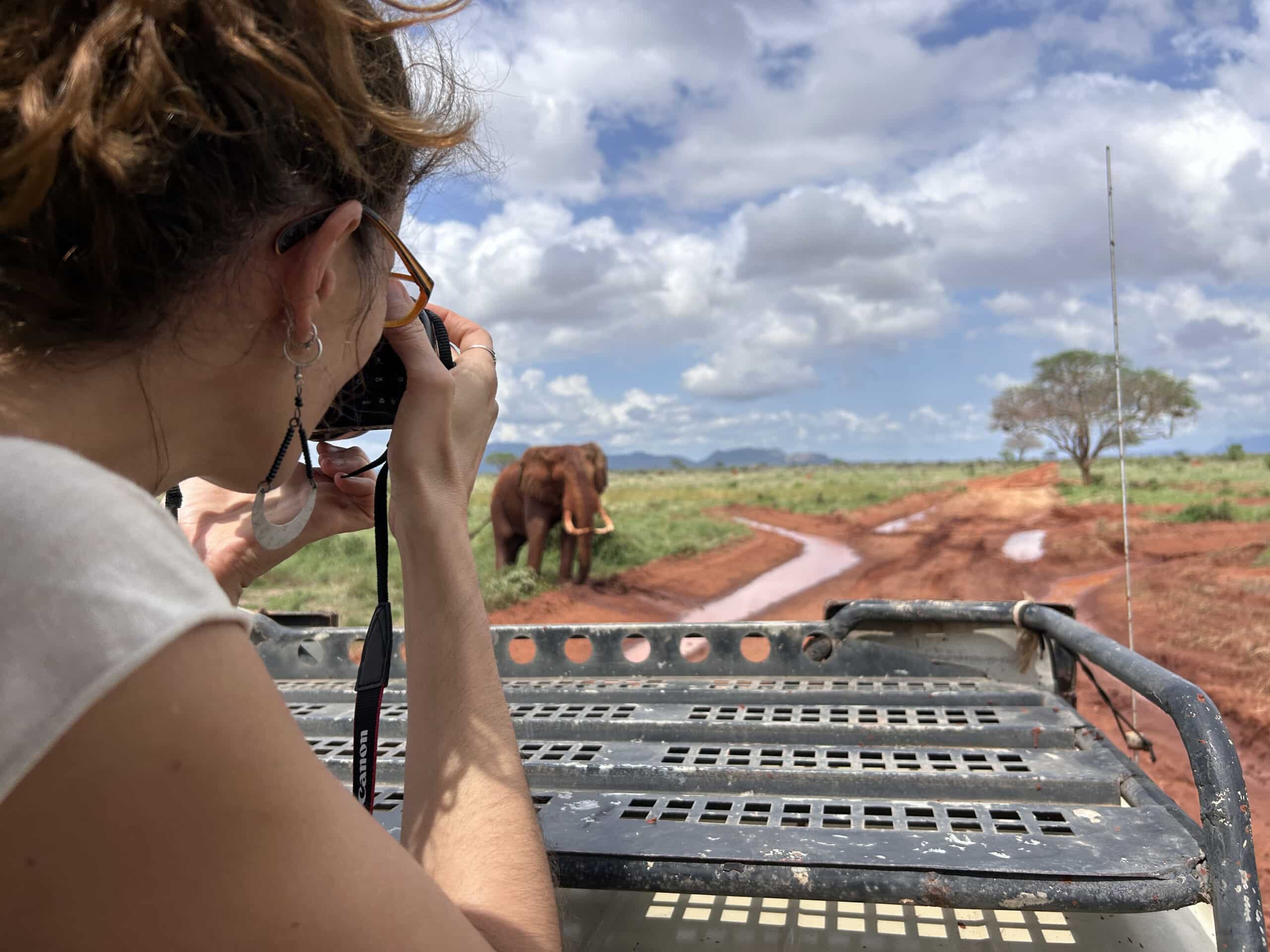 Tsavo Park Kenia