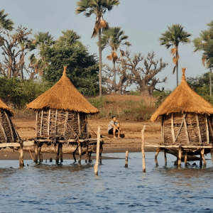 Viaje Senegal Diciembre 2025