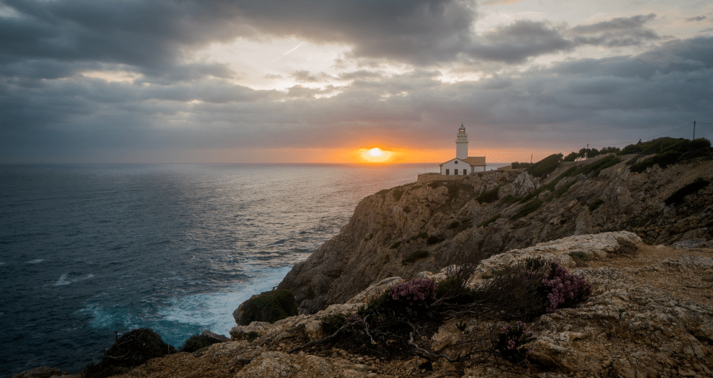 Lee más sobre el artículo Return to the island of Mallorca, Mediterranean of light and sunshine