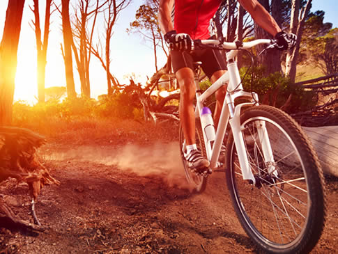 Lee más sobre el artículo Existe una bicicleta para cada ruta BTT