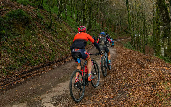 Lee más sobre el artículo Tracks La Rioja: cicloturismo por viñedos y bodegas